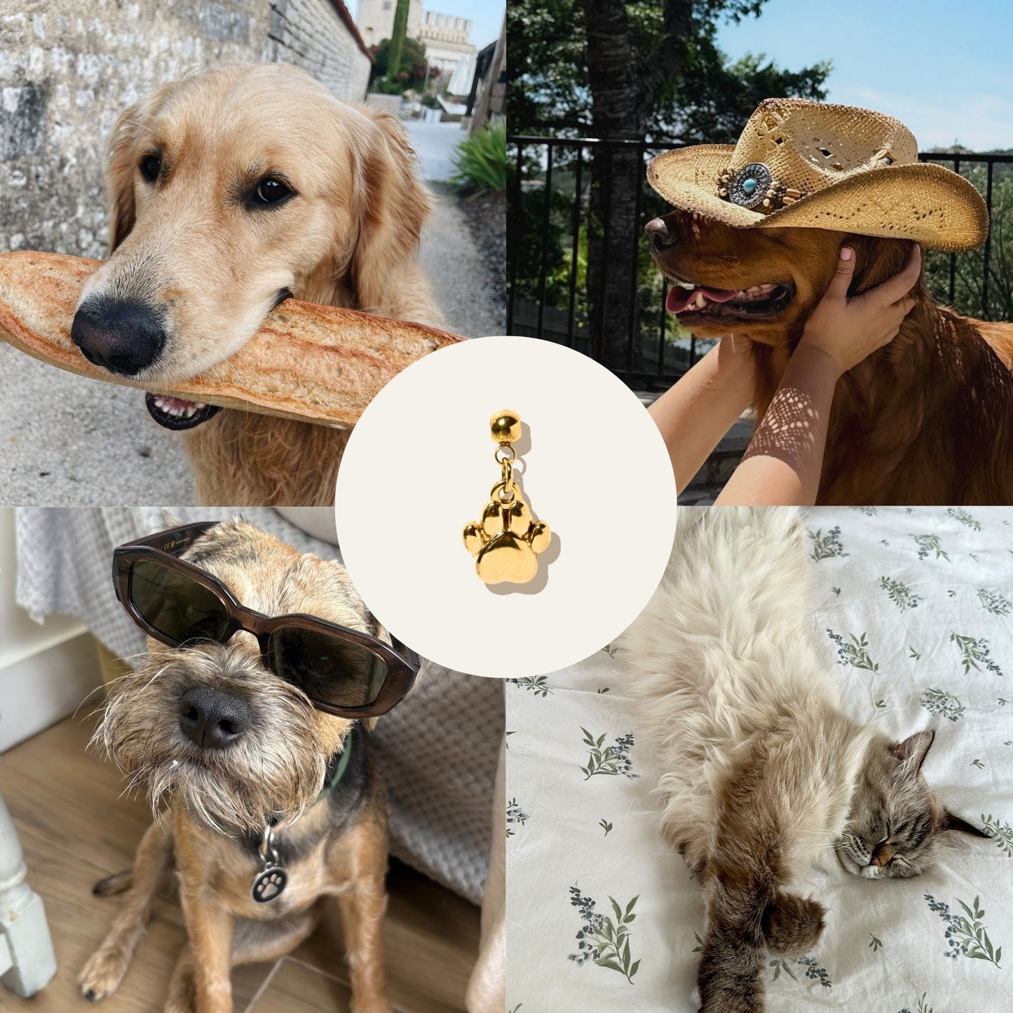 Paw Charm