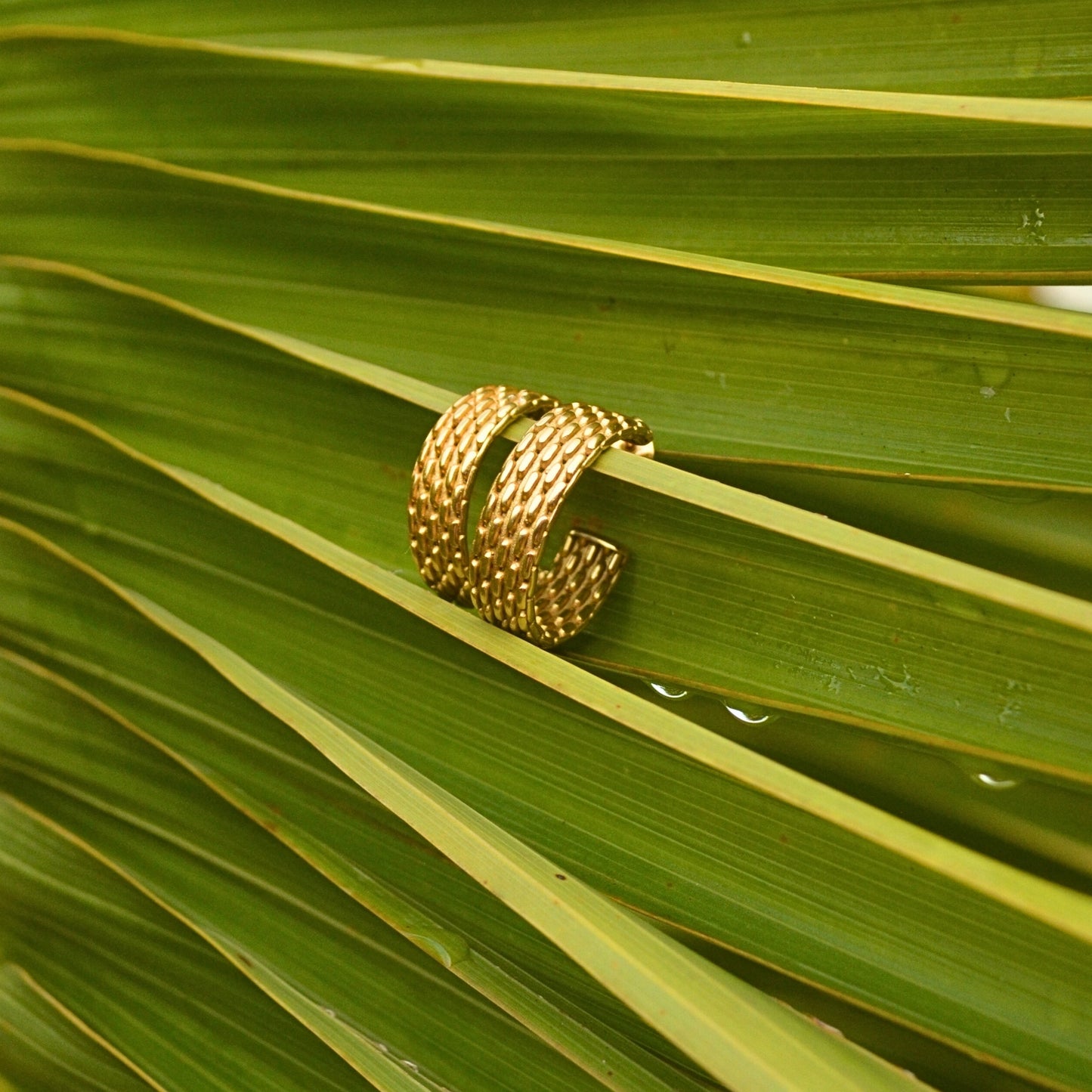 Large Band Hoop Earrings