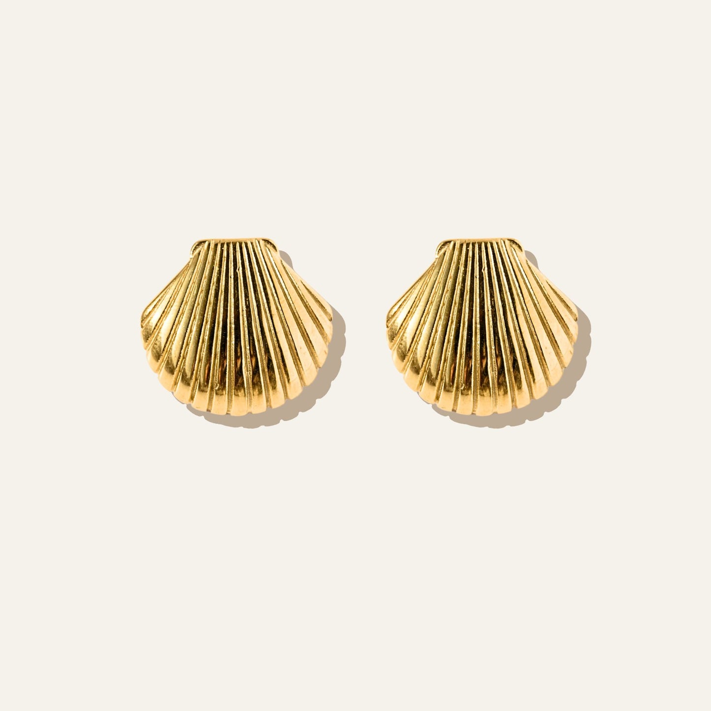 Large Shell Earrings