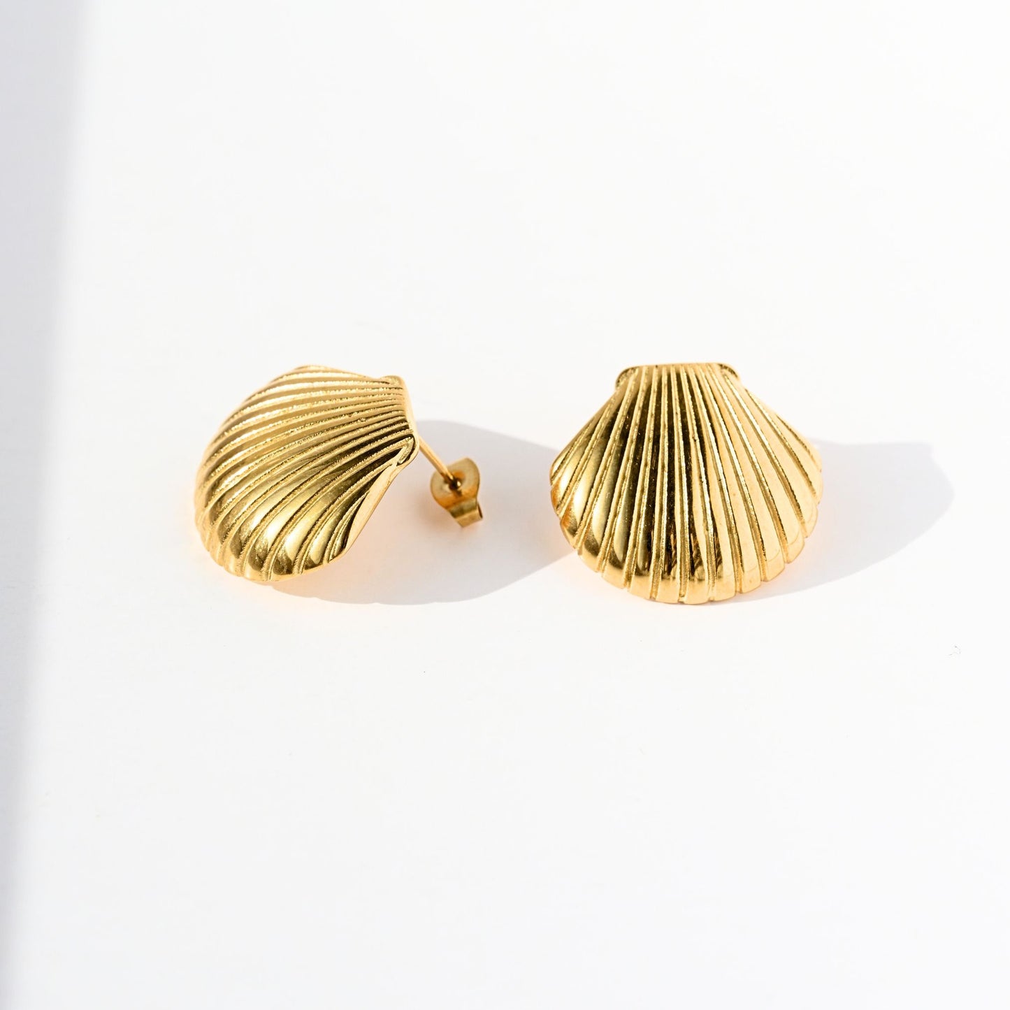 Large Shell Earrings