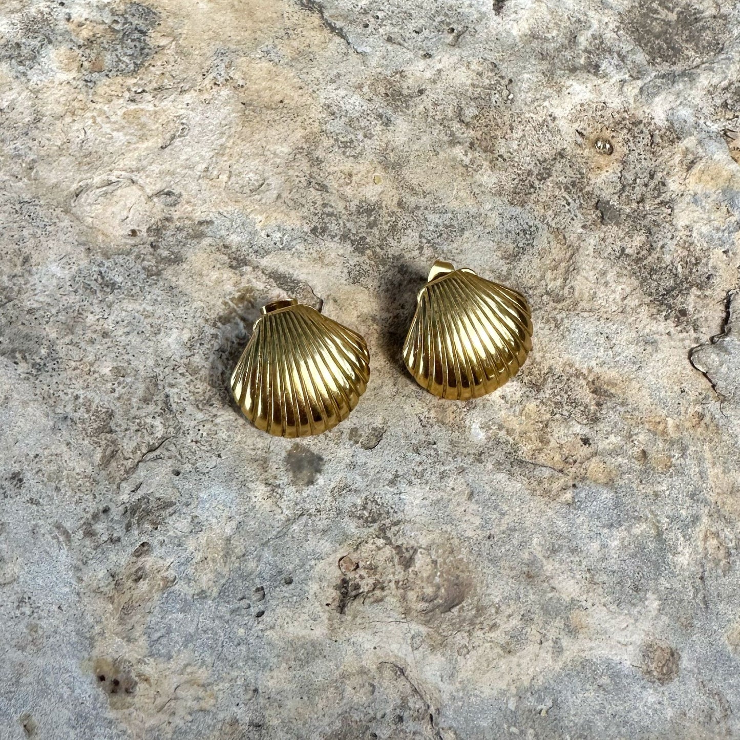 Large Shell Earrings