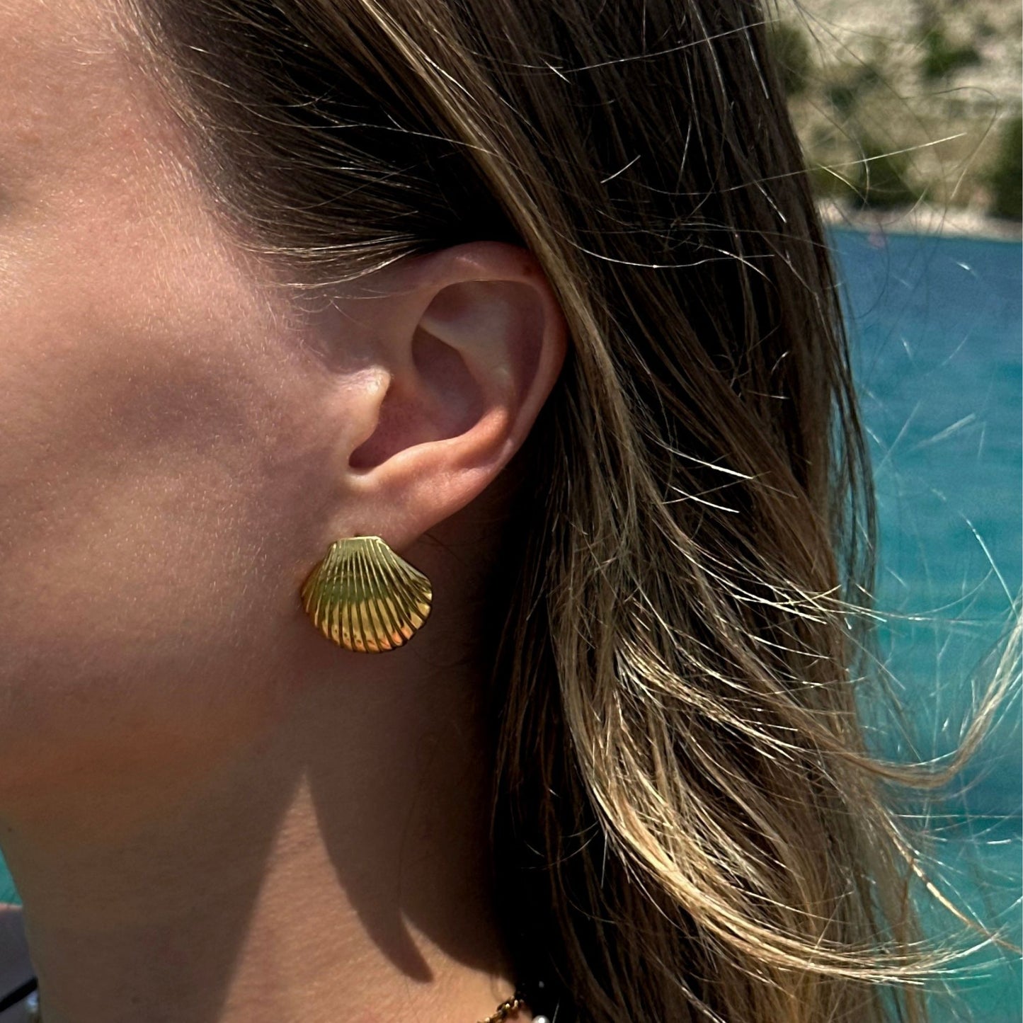 Large Shell Earrings