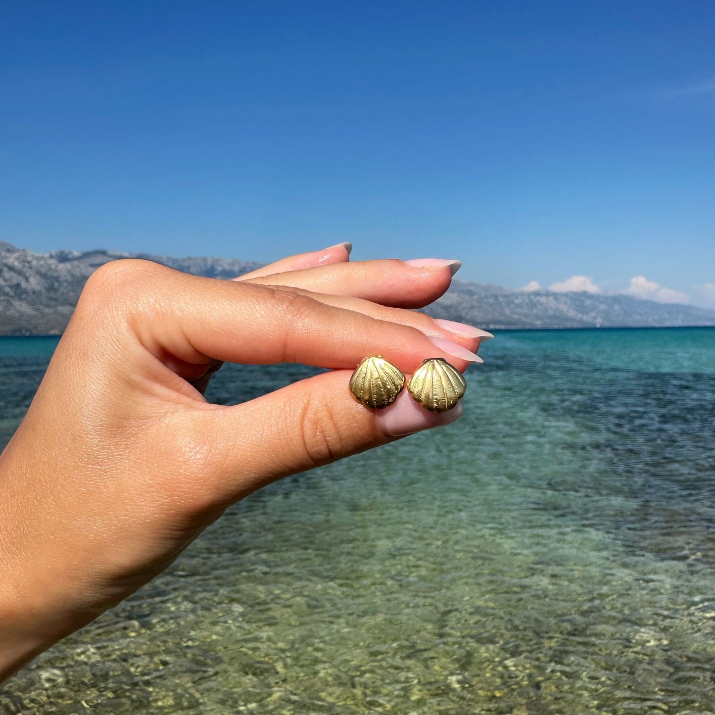 Small Shell Earrings