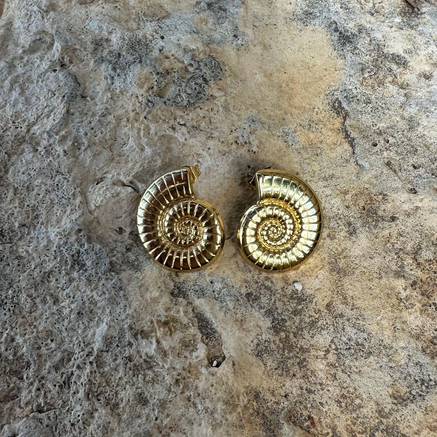 Spiral Shell Earrings