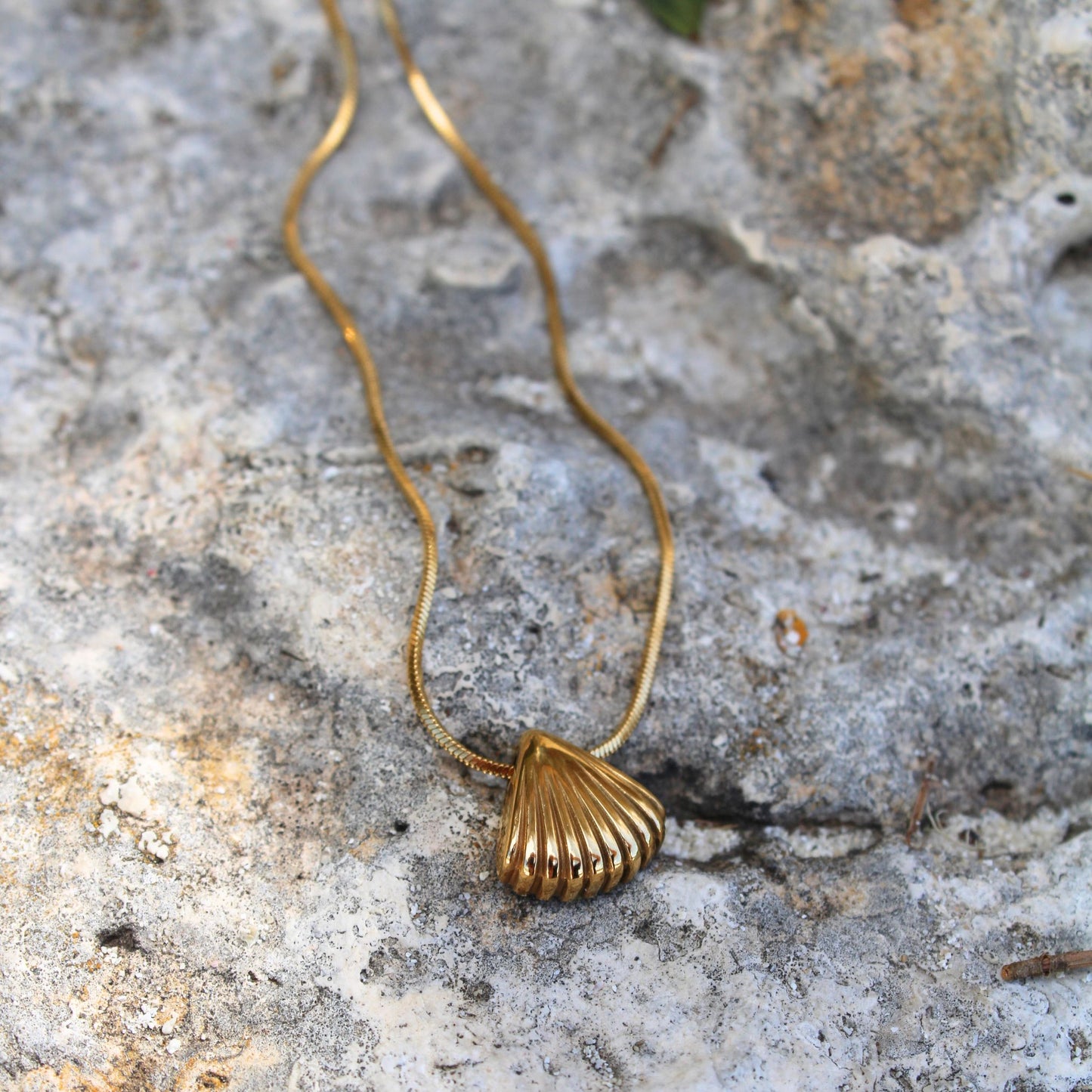 Shell Pendant Necklace