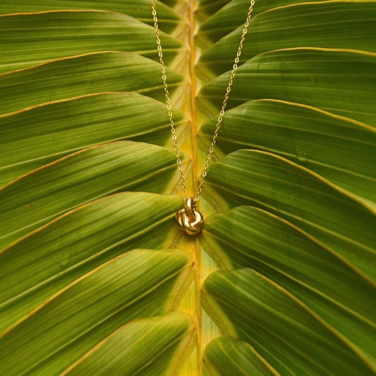 Knot Pendant Necklace