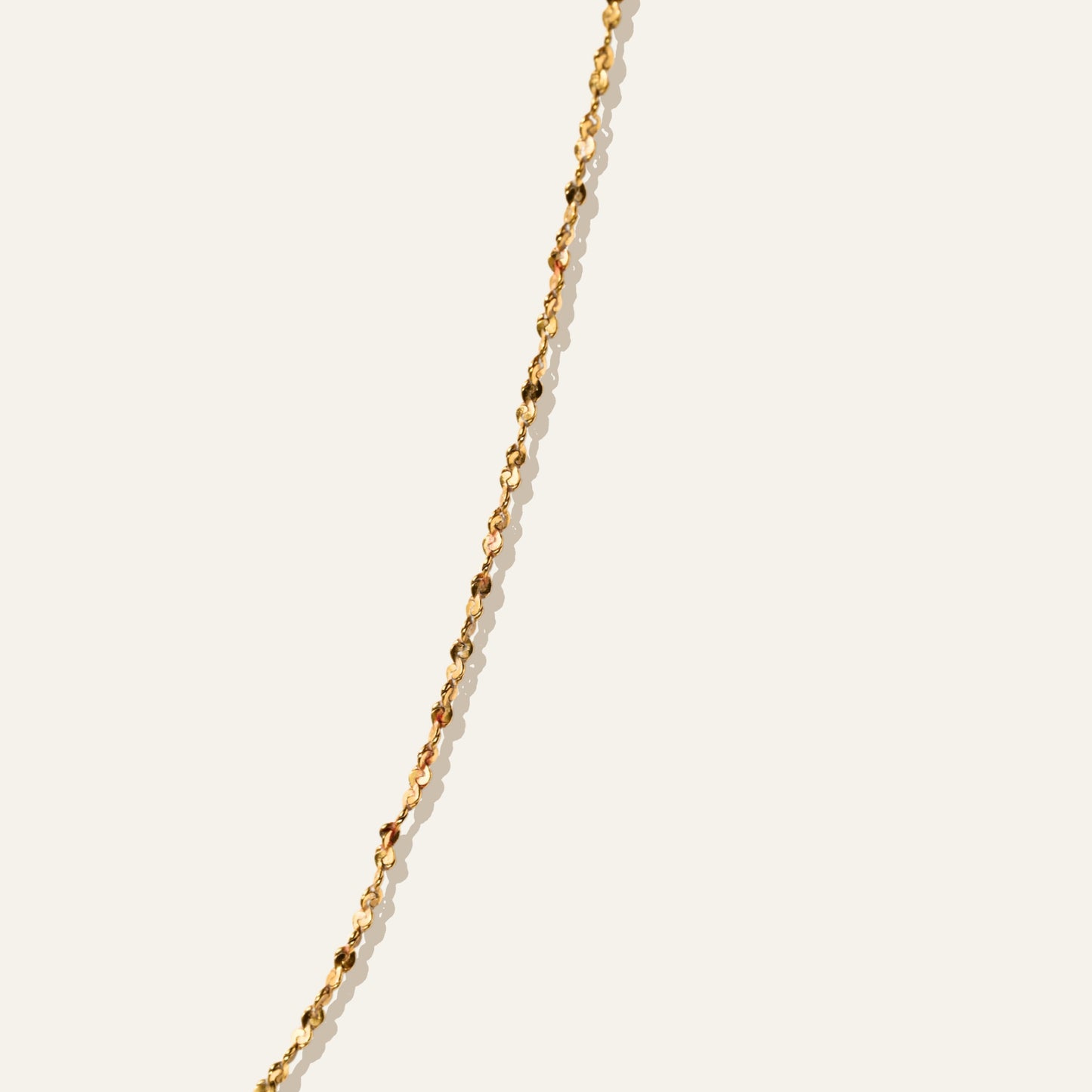 Petite Chain Necklace