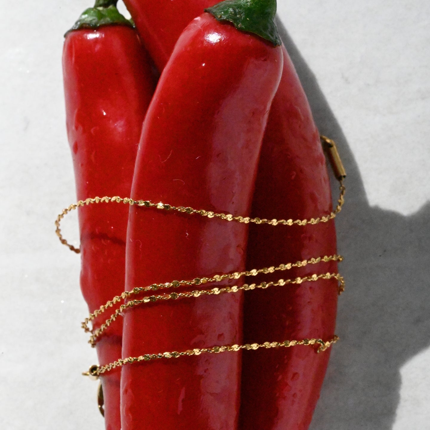 Petite Chain Necklace
