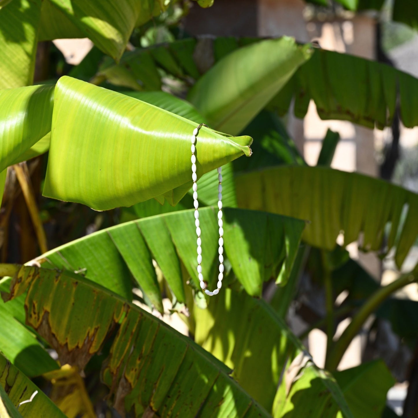 Oval Shell Pearl Necklace