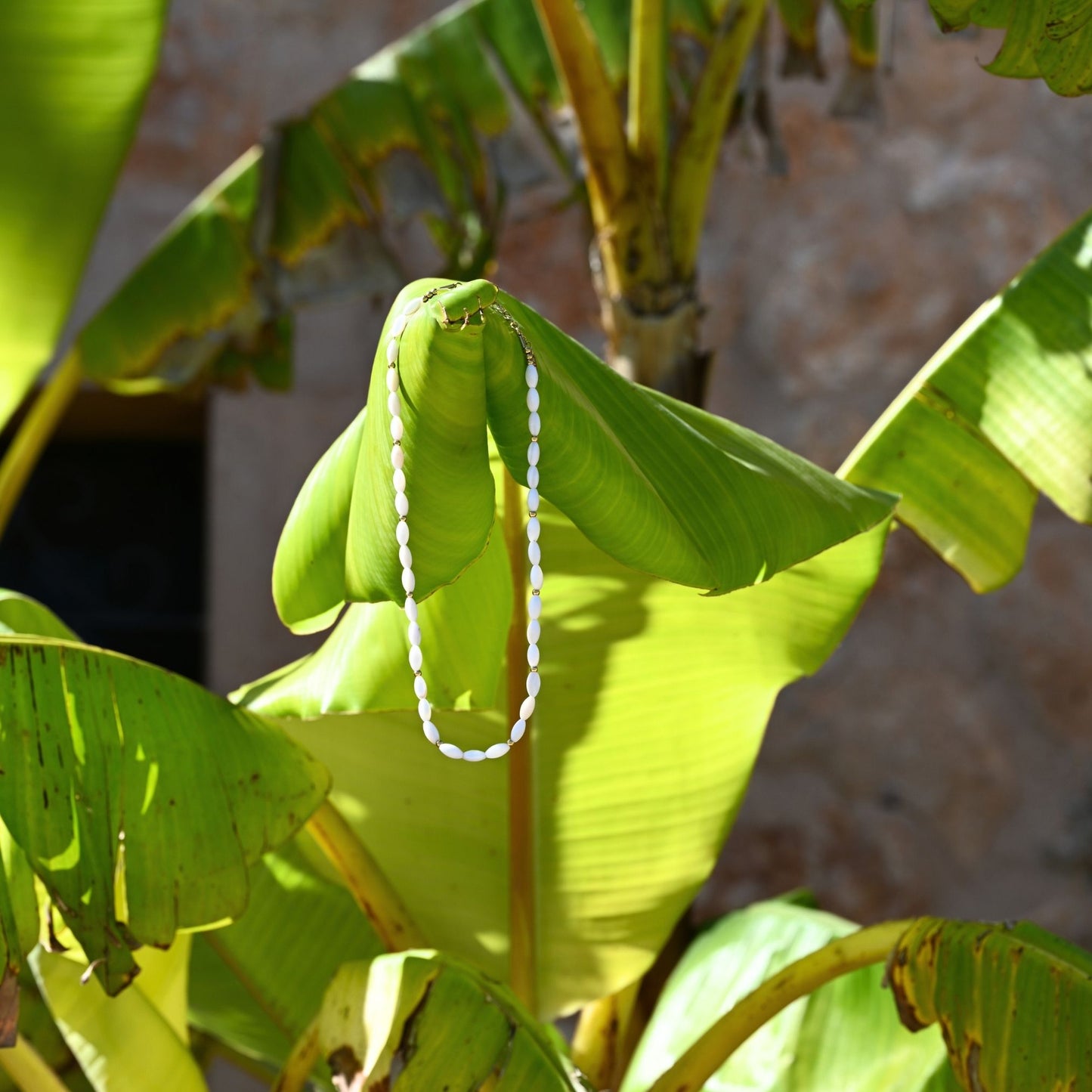 Oval Shell Pearl Necklace