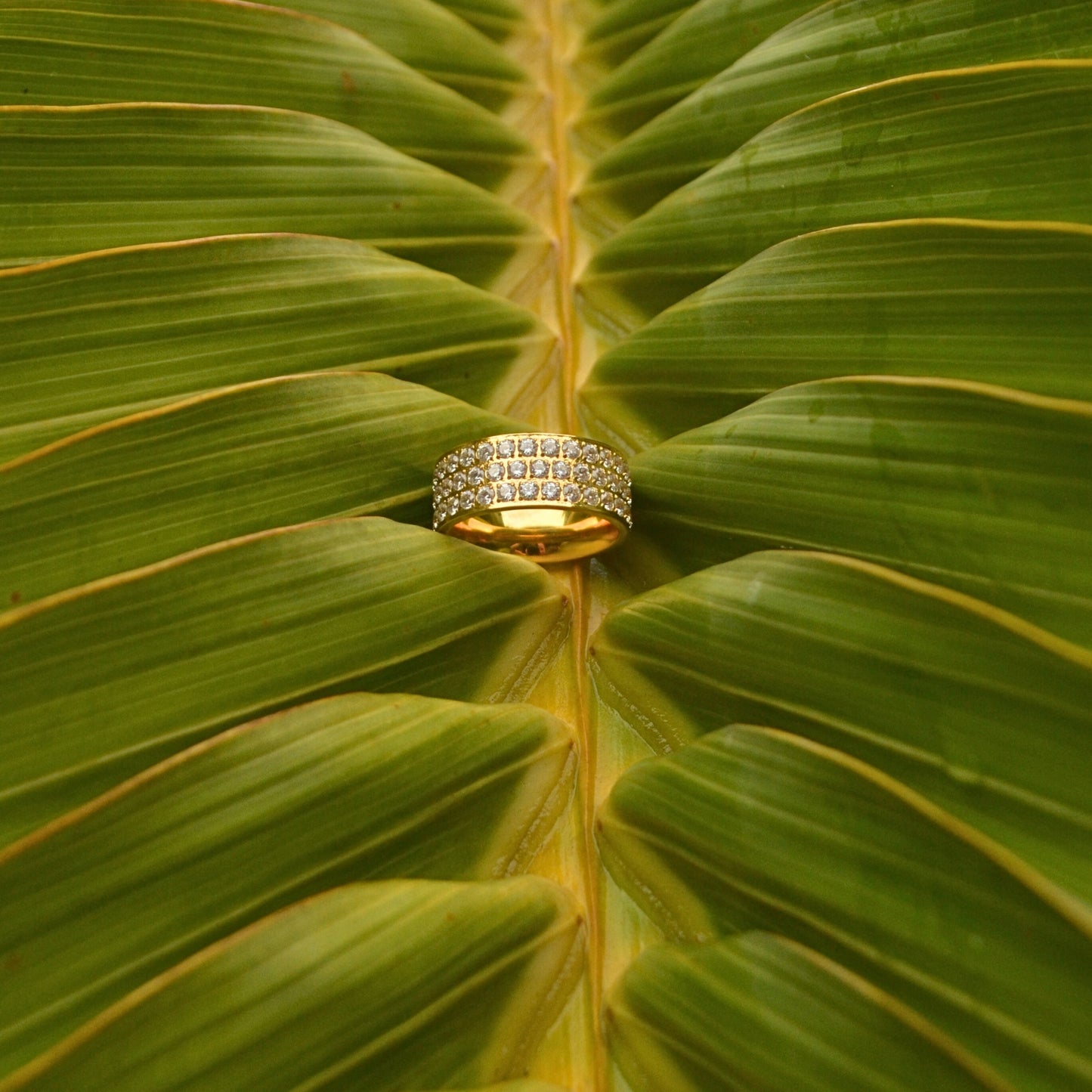 Zirconia Pave Band Ring