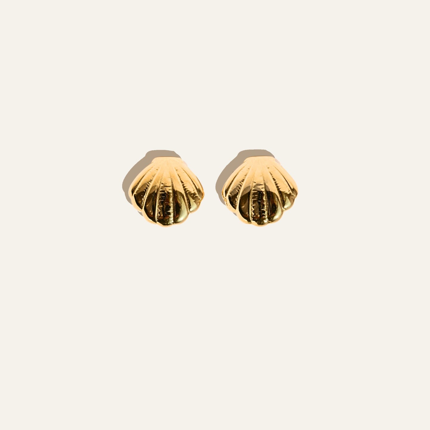 Small Shell Earrings