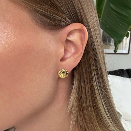 Small Shell Earrings