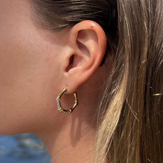 Bamboo Crystal Hoops