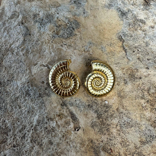 Spiral Shell Earrings