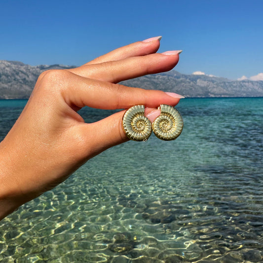 Spiral Shell Earrings