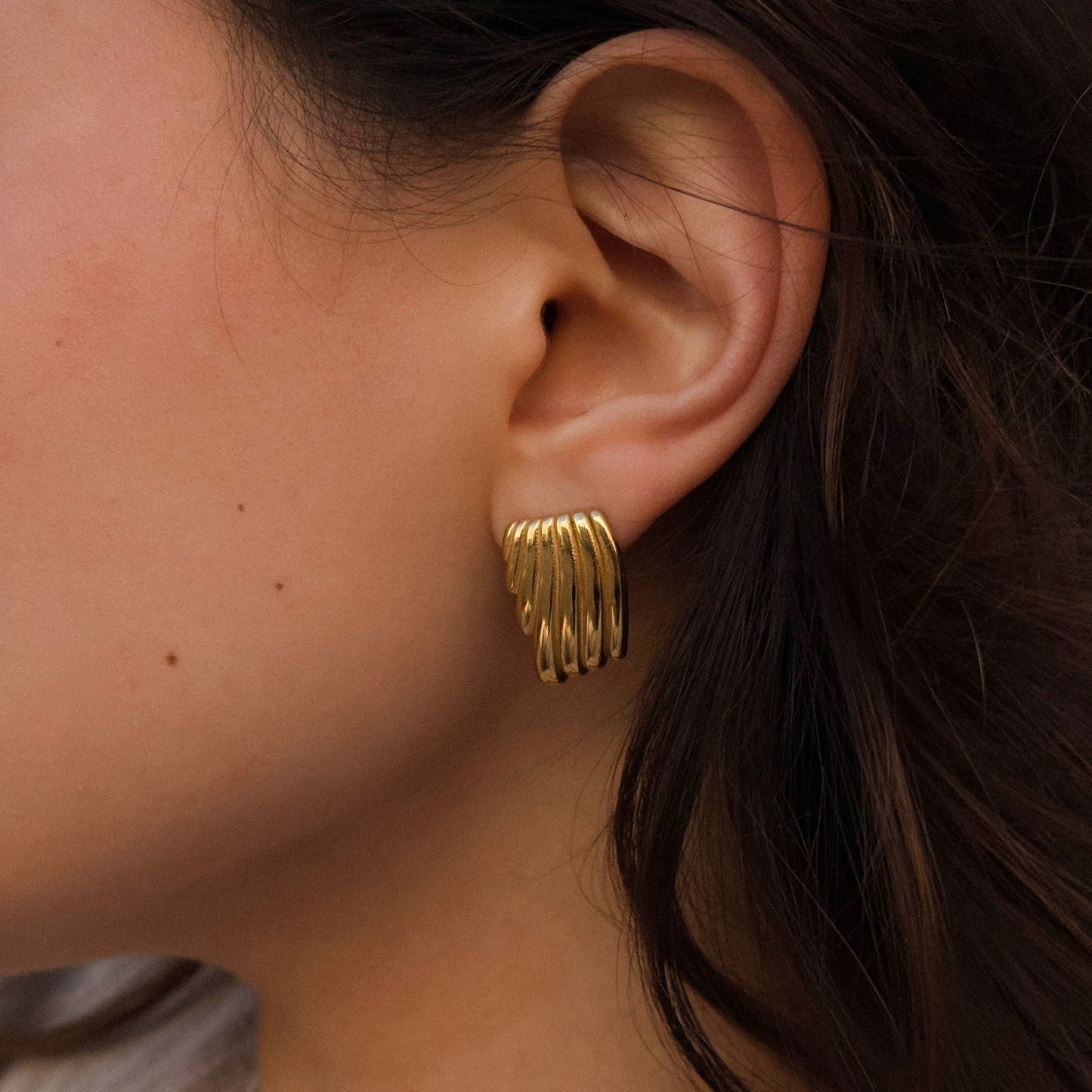 Wing Earrings