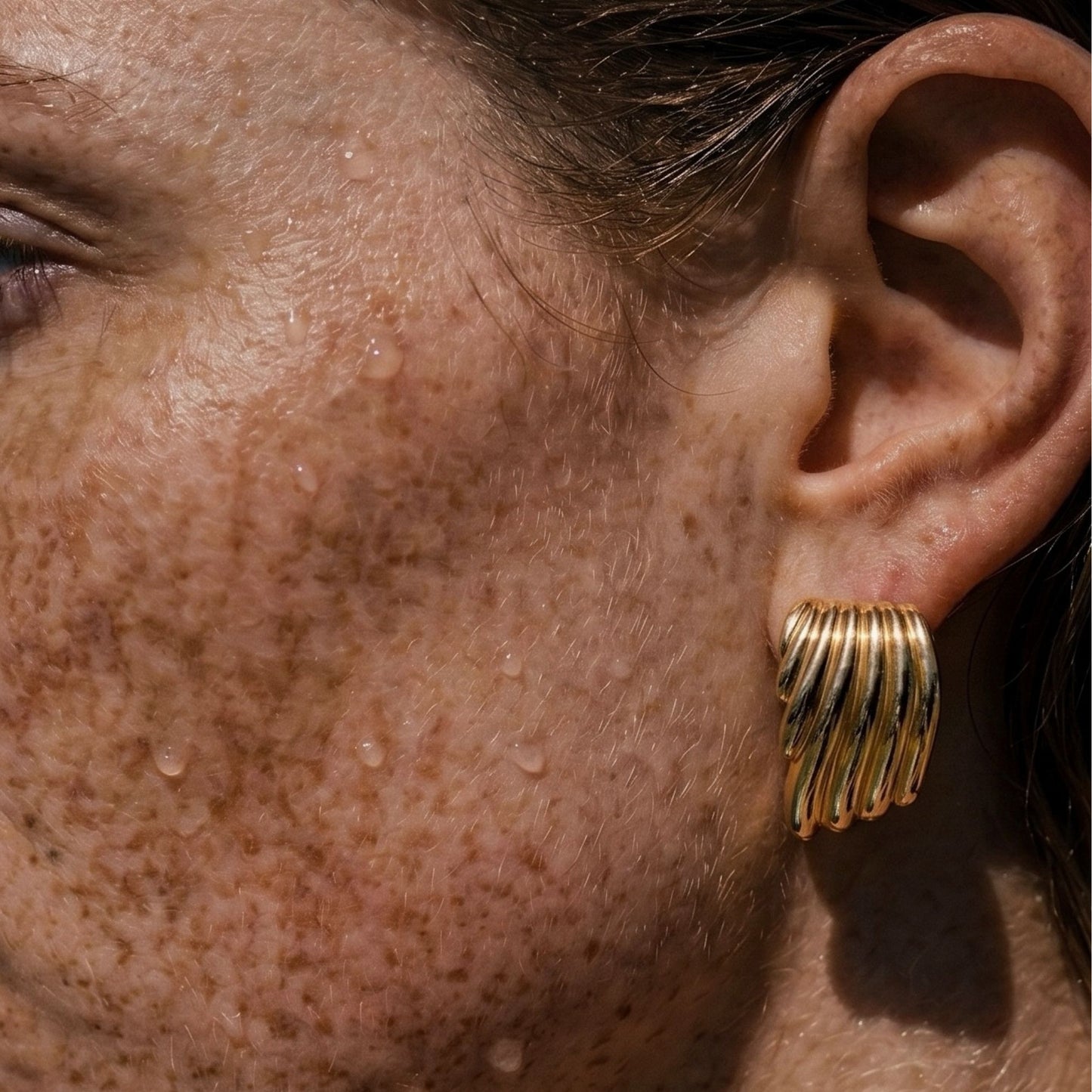 Wing Earrings