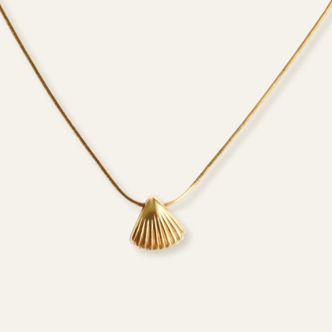 Shell Pendant Necklace