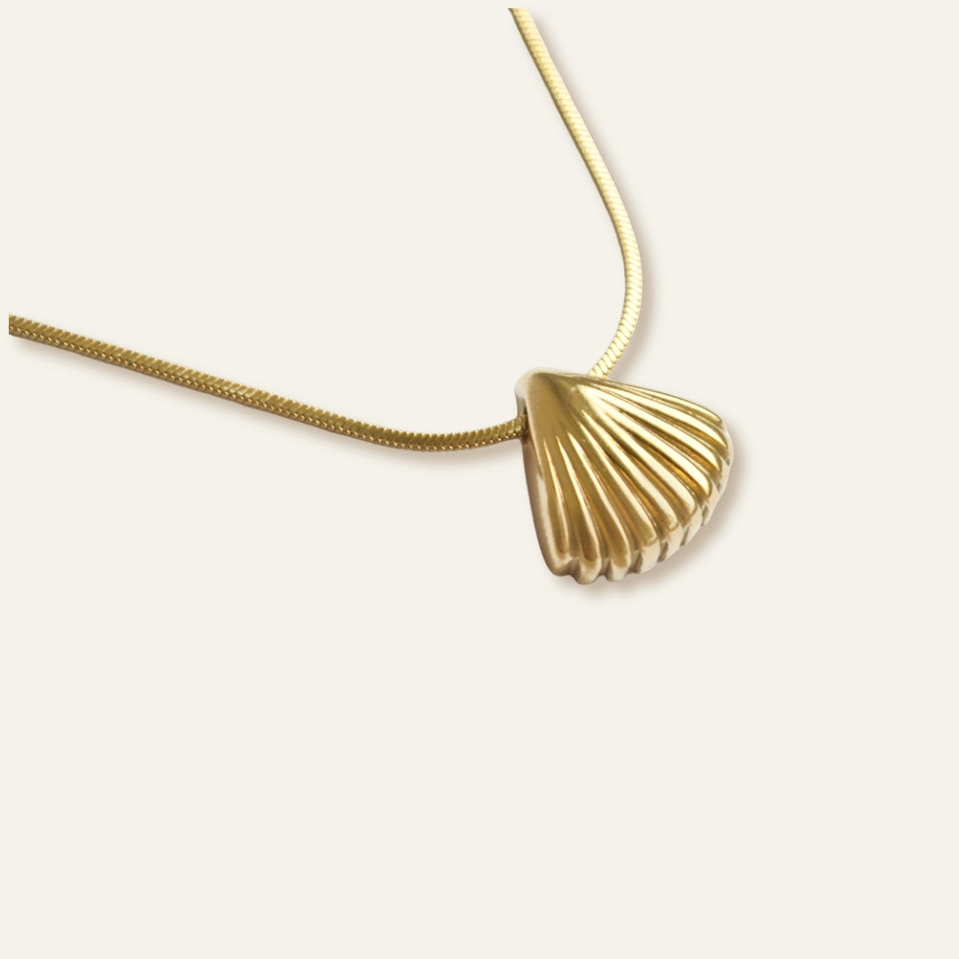 Shell Pendant Necklace