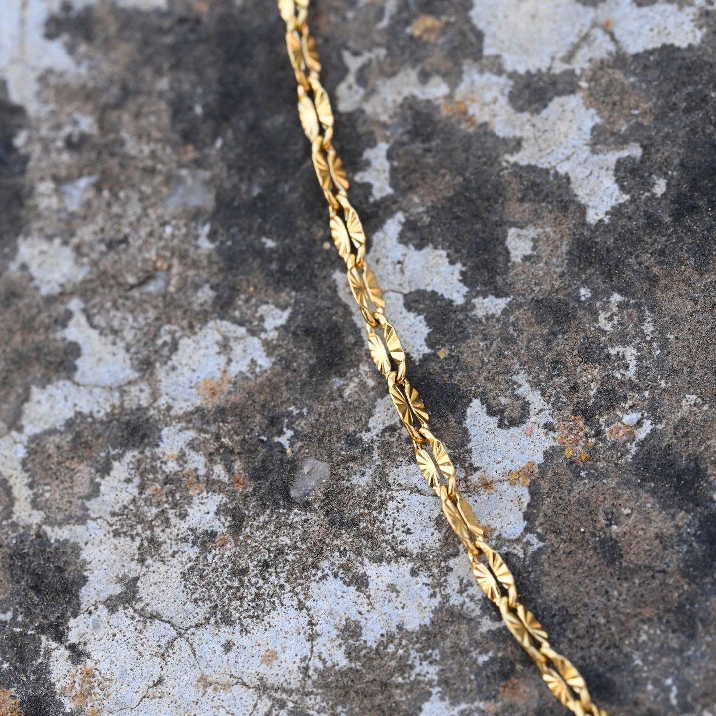 Petite Sun Dainty Choker