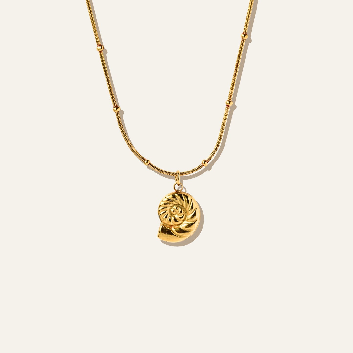 Spiral Shell Necklace