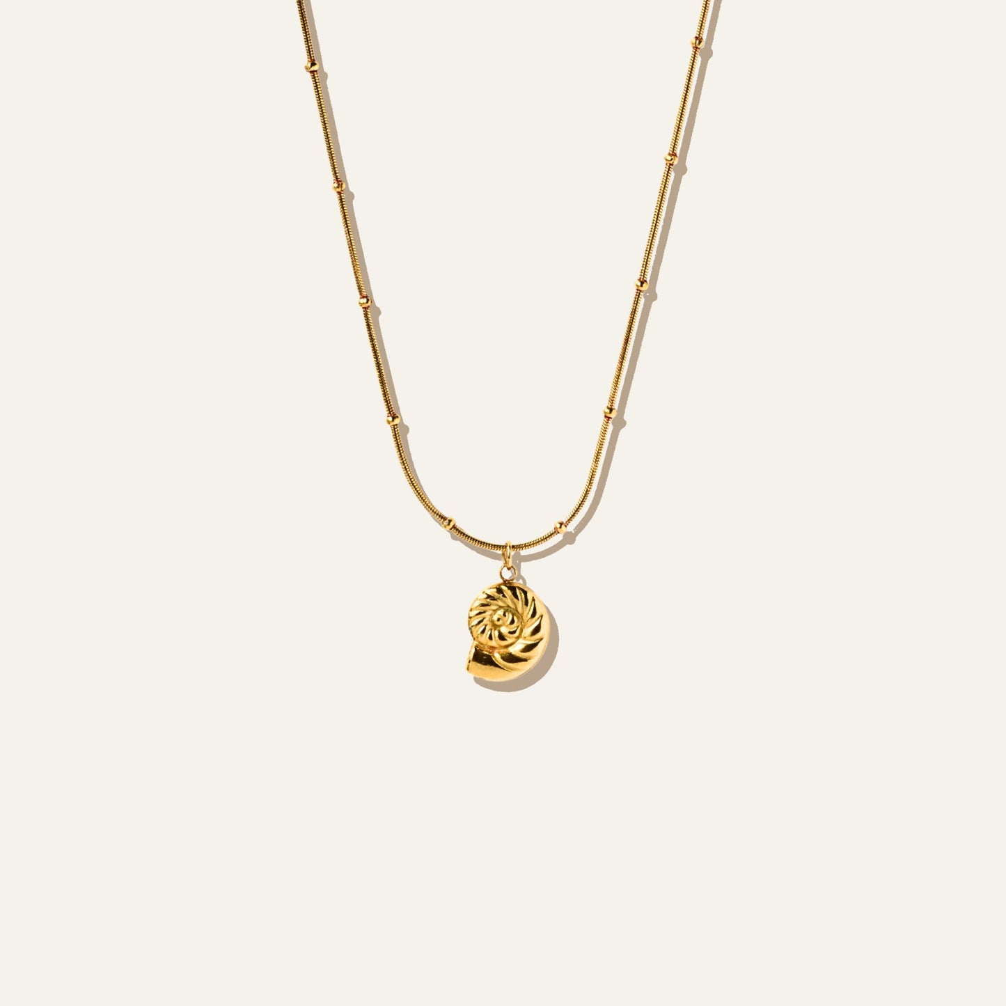Spiral Shell Necklace