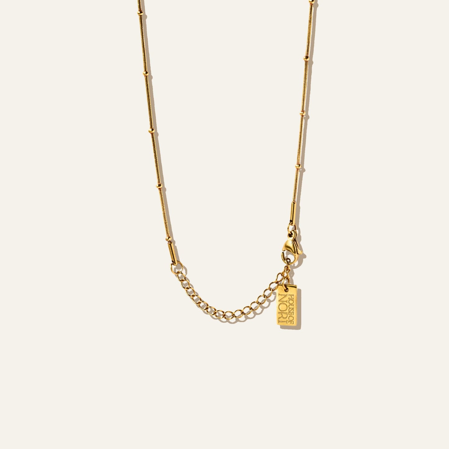 Spiral Shell Necklace